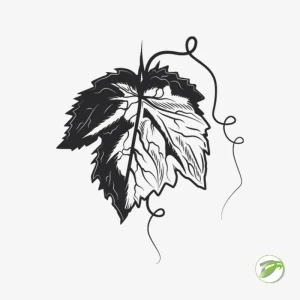 Outline Leaves Vector Design