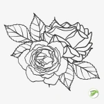 Outline Flower 6 Vector Design