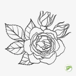 Outline Flower 4 Vector Design