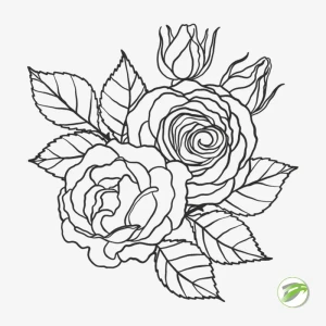 Outline Flower 3 Vector Design