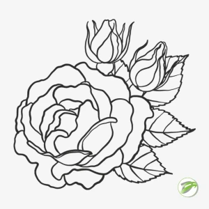 Outline Flower 2 Vector Design