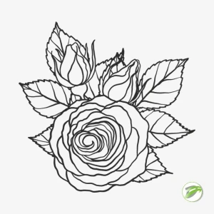 Outline Flower 1 Vector Design